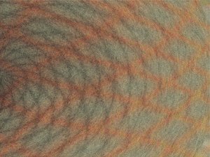 蒲縣色譜儀有限責任公司