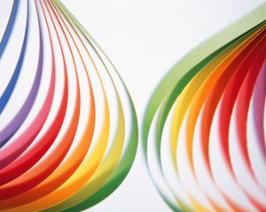 孝義市種豬有限責任公司