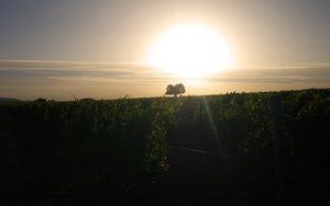 柳林縣塑料包裝有限責任公司