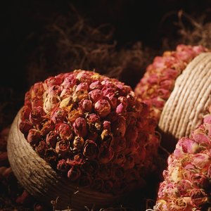 蒲縣美容美發有限責任公司