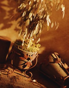 大寧縣塑料包裝有限責(zé)任公司